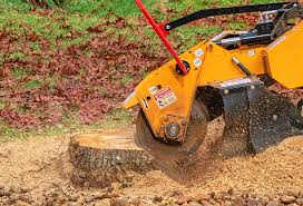 Lawn Maintenance Plans in Mayville, WI